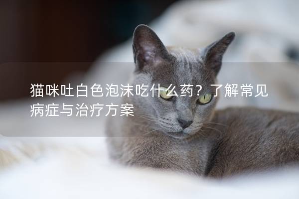 猫咪吐白色泡沫吃什么药？了解常见病症与治疗方案