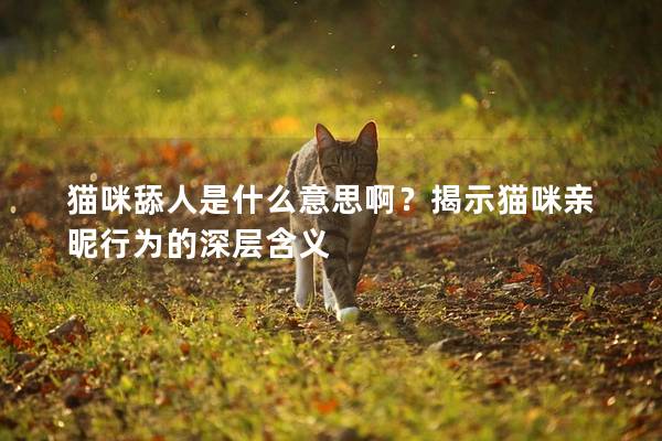 猫咪舔人是什么意思啊？揭示猫咪亲昵行为的深层含义