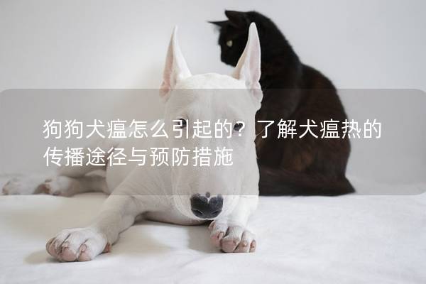 狗狗犬瘟怎么引起的？了解犬瘟热的传播途径与预防措施