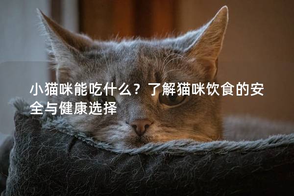 小猫咪能吃什么？了解猫咪饮食的安全与健康选择