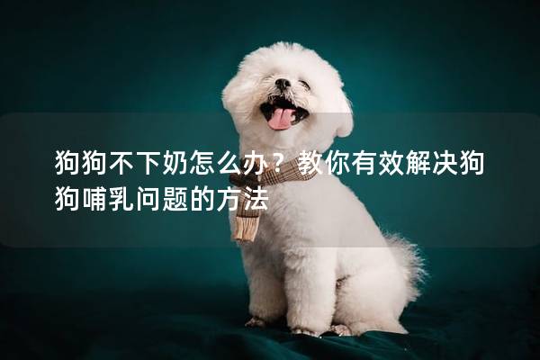 狗狗不下奶怎么办？教你有效解决狗狗哺乳问题的方法