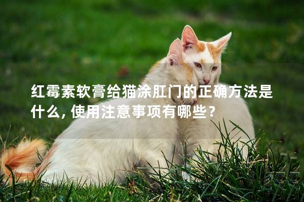 红霉素软膏给猫涂肛门的正确方法是什么, 使用注意事项有哪些？