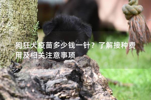 狗狂犬疫苗多少钱一针？了解接种费用及相关注意事项