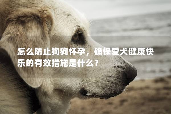 怎么防止狗狗怀孕，确保爱犬健康快乐的有效措施是什么？