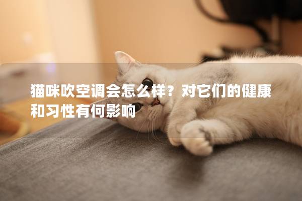 猫咪吹空调会怎么样？对它们的健康和习性有何影响