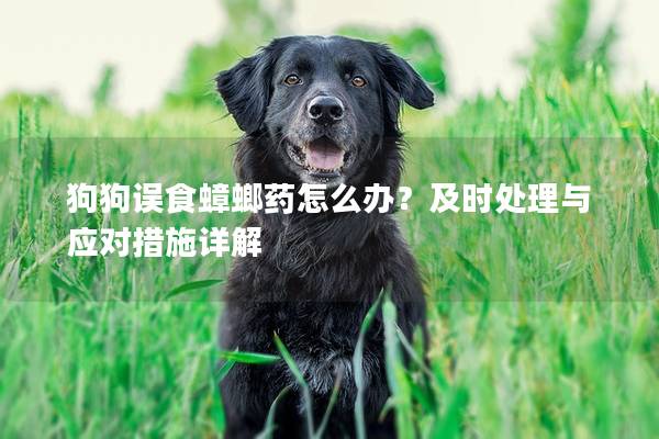 狗狗误食蟑螂药怎么办？及时处理与应对措施详解