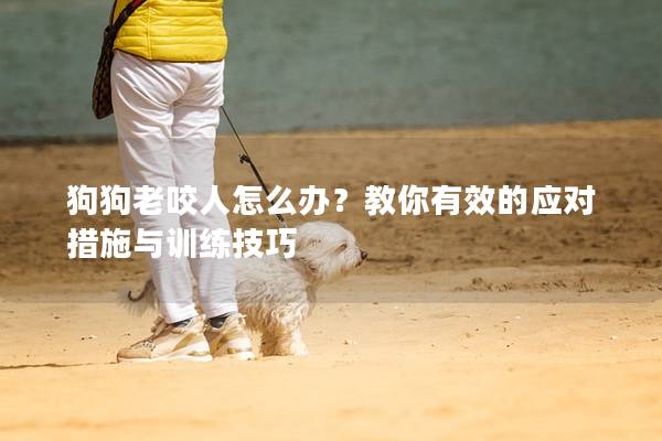 狗狗老咬人怎么办？教你有效的应对措施与训练技巧