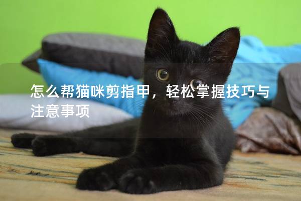 怎么帮猫咪剪指甲，轻松掌握技巧与注意事项