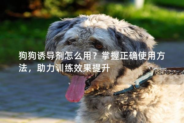 狗狗诱导剂怎么用?掌握正确使用方法,助力训练效果提升 狗狗诱导剂怎么用?掌握正确使用方法,助力训练效果提升