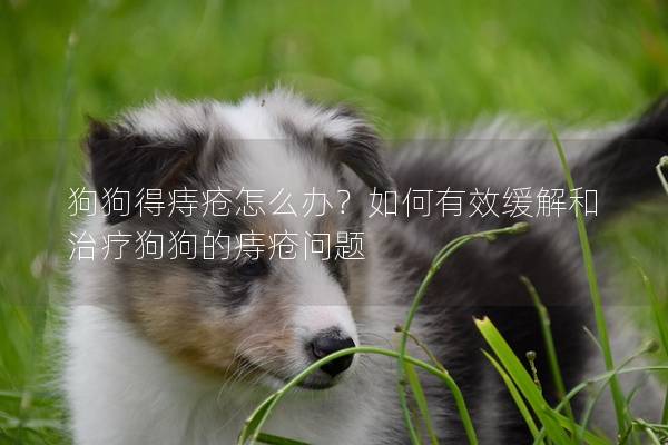 狗狗得痔疮怎么办？如何有效缓解和治疗狗狗的痔疮问题