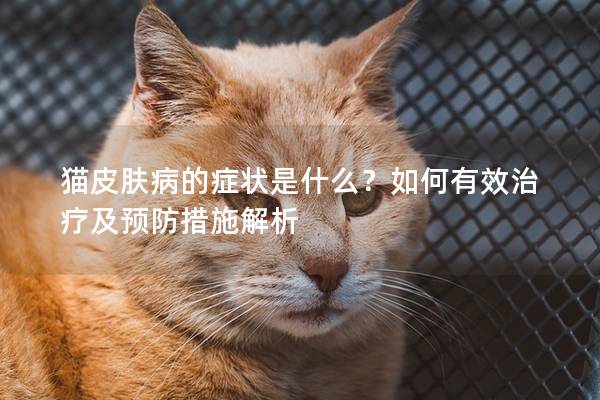 猫皮肤病的症状是什么？如何有效治疗及预防措施解析