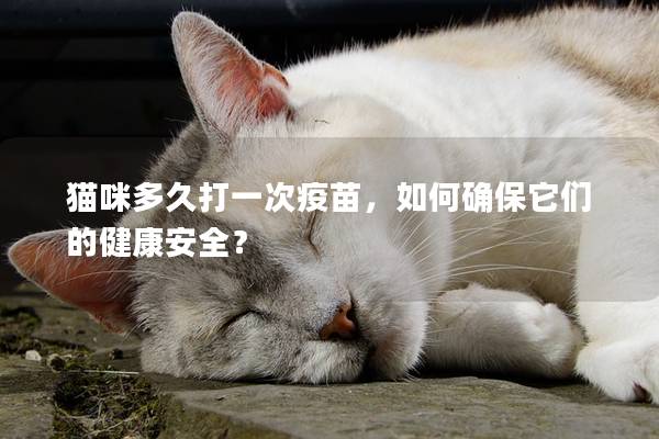 猫咪多久打一次疫苗，如何确保它们的健康安全？