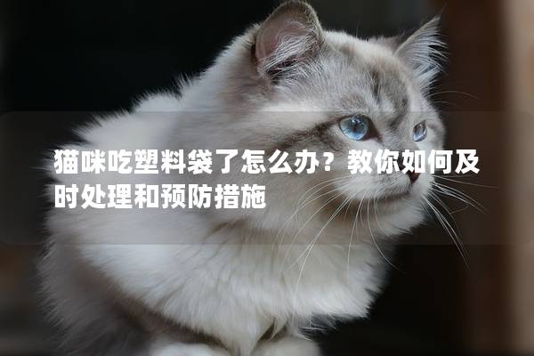 猫咪吃塑料袋了怎么办？教你如何及时处理和预防措施