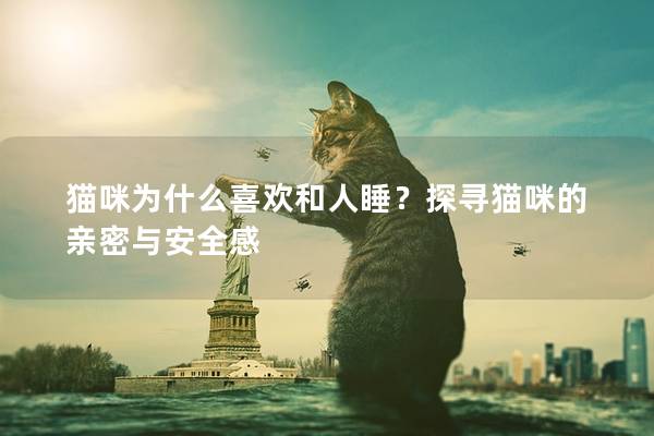 猫咪为什么喜欢和人睡？探寻猫咪的亲密与安全感