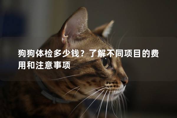 狗狗体检多少钱？了解不同项目的费用和注意事项