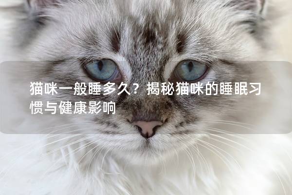 猫咪一般睡多久？揭秘猫咪的睡眠习惯与健康影响