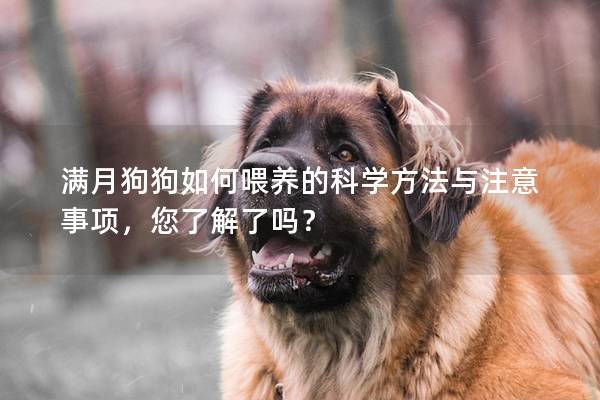 满月狗狗如何喂养的科学方法与注意事项，您了解了吗？