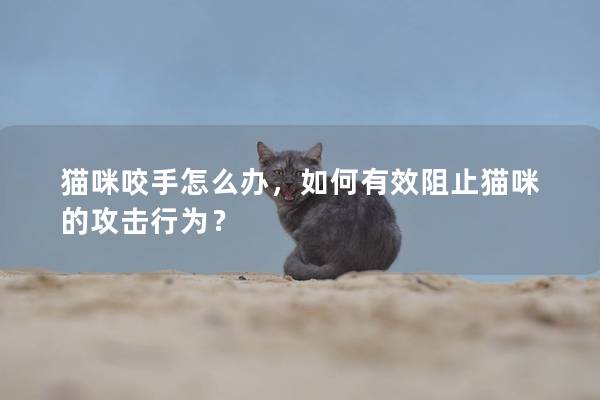 猫咪咬手怎么办，如何有效阻止猫咪的攻击行为？