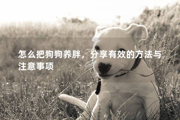 怎么把狗狗养胖，分享有效的方法与注意事项