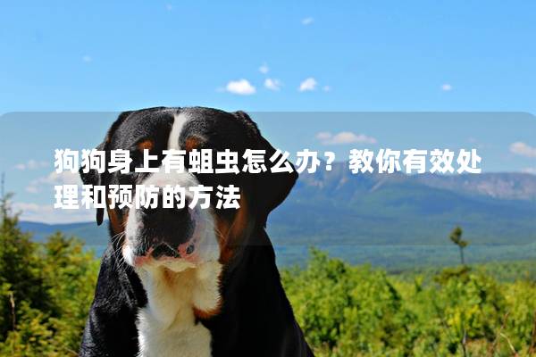 狗狗身上有蛆虫怎么办？教你有效处理和预防的方法