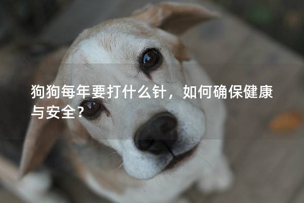 狗狗每年要打什么针，如何确保健康与安全？