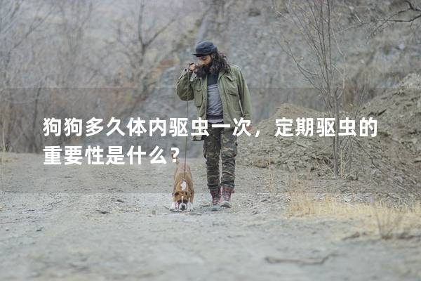 狗狗多久体内驱虫一次，定期驱虫的重要性是什么？