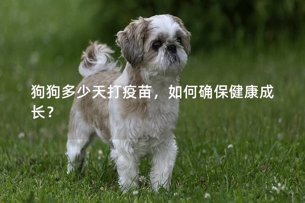 狗狗多少天打疫苗，如何确保健康成长？