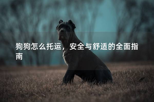 狗狗怎么托运，安全与舒适的全面指南