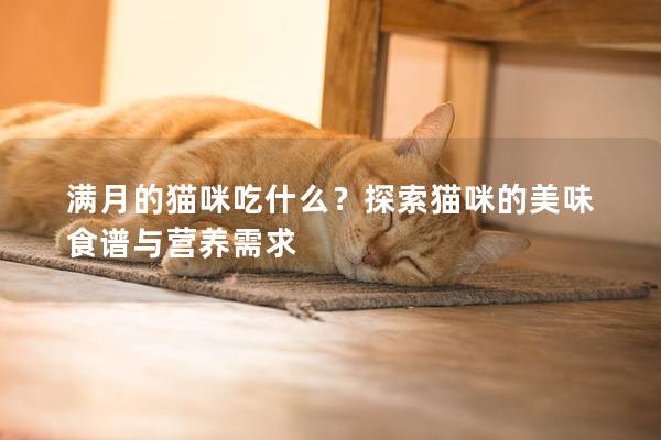 满月的猫咪吃什么？探索猫咪的美味食谱与营养需求