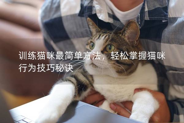 训练猫咪最简单方法，轻松掌握猫咪行为技巧秘诀