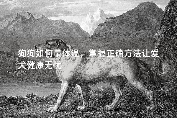 狗狗如何量体温，掌握正确方法让爱犬健康无忧