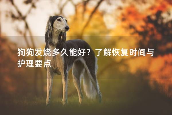 狗狗发烧多久能好？了解恢复时间与护理要点