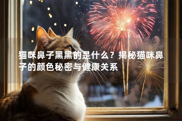 猫咪鼻子黑黑的是什么？揭秘猫咪鼻子的颜色秘密与健康关系