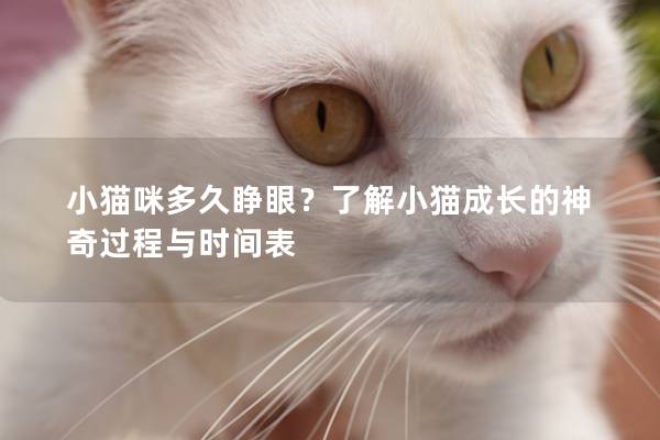 小猫咪多久睁眼？了解小猫成长的神奇过程与时间表