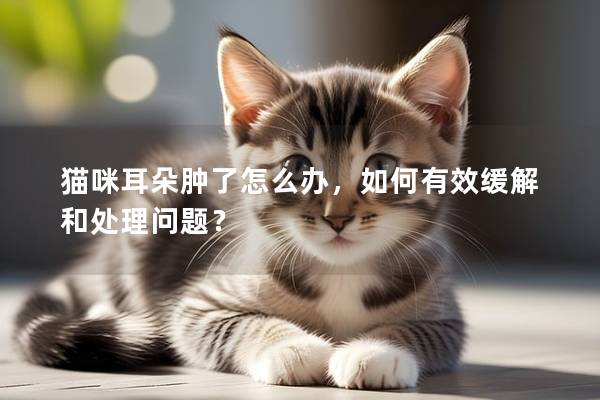 猫咪耳朵肿了怎么办，如何有效缓解和处理问题？