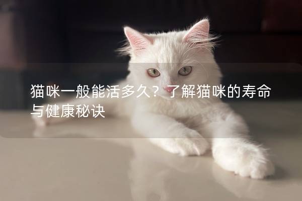 猫咪一般能活多久？了解猫咪的寿命与健康秘诀