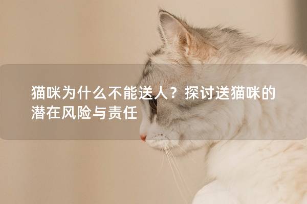 猫咪为什么不能送人？探讨送猫咪的潜在风险与责任