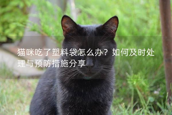 猫咪吃了塑料袋怎么办？如何及时处理与预防措施分享