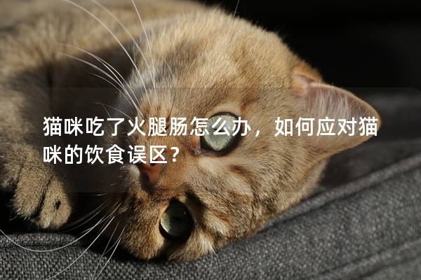 猫咪吃了火腿肠怎么办，如何应对猫咪的饮食误区？