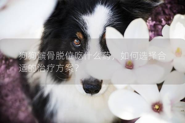 狗狗髌骨脱位吃什么药，如何选择合适的治疗方案？