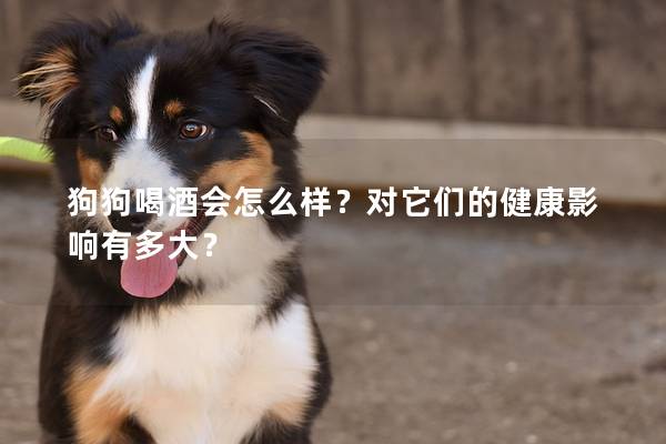 狗狗喝酒会怎么样？对它们的健康影响有多大？