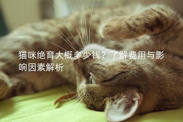 猫咪绝育大概多少钱？了解费用与影响因素解析