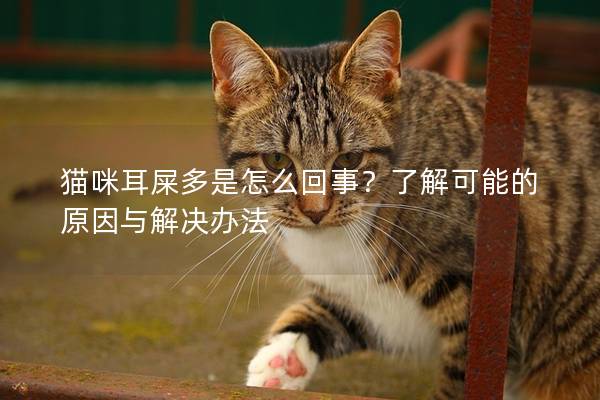 猫咪耳屎多是怎么回事？了解可能的原因与解决办法