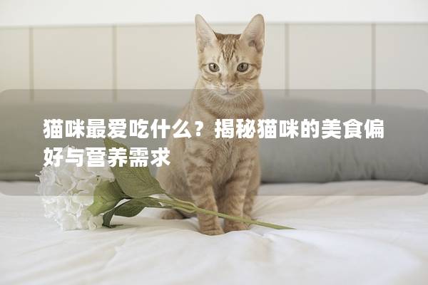 猫咪最爱吃什么？揭秘猫咪的美食偏好与营养需求