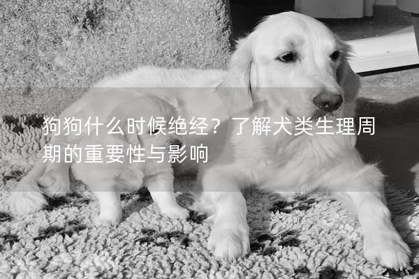 狗狗什么时候绝经？了解犬类生理周期的重要性与影响