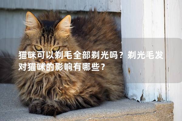 猫咪可以剃毛全部剃光吗？剃光毛发对猫咪的影响有哪些？