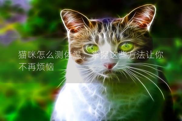 猫咪怎么测体温，掌握这些方法让你不再烦恼