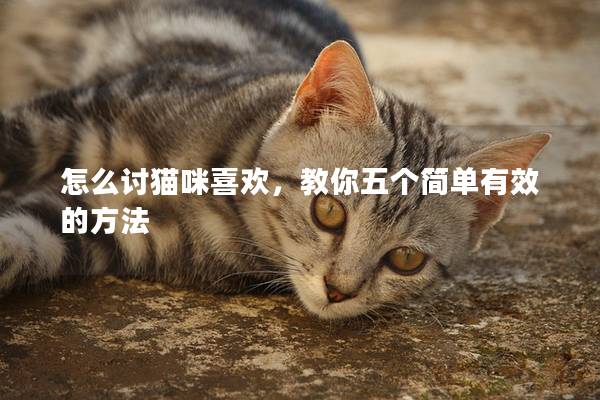 怎么讨猫咪喜欢，教你五个简单有效的方法