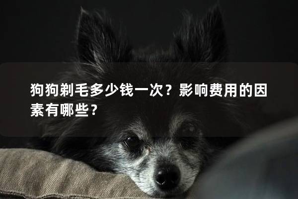 狗狗剃毛多少钱一次？影响费用的因素有哪些？