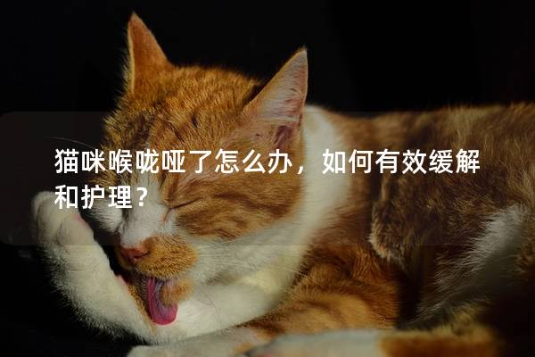 猫咪喉咙哑了怎么办，如何有效缓解和护理？